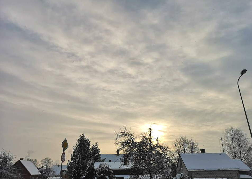 Ziemas saulgrieži visā Latvijā būs sniegoti