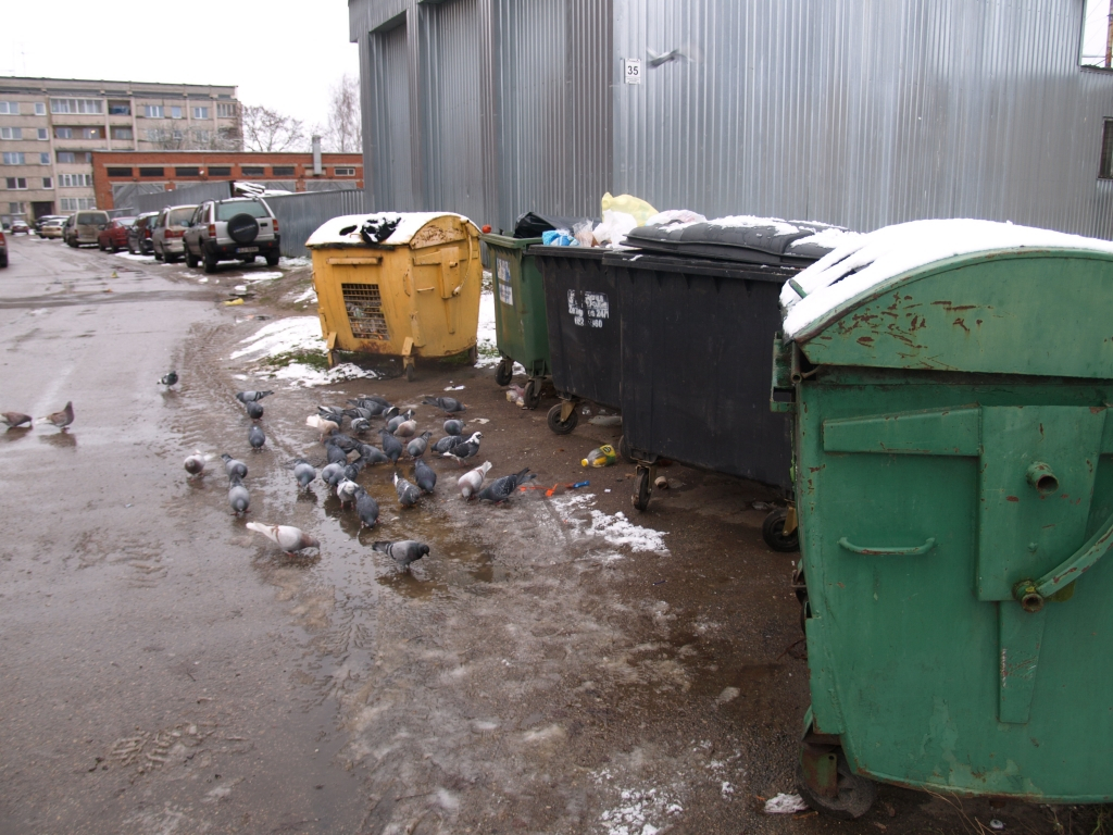 No šī gada Jēkabpilī pieaugusi maksa par sadzīves atkritumu apsaimniekošanu