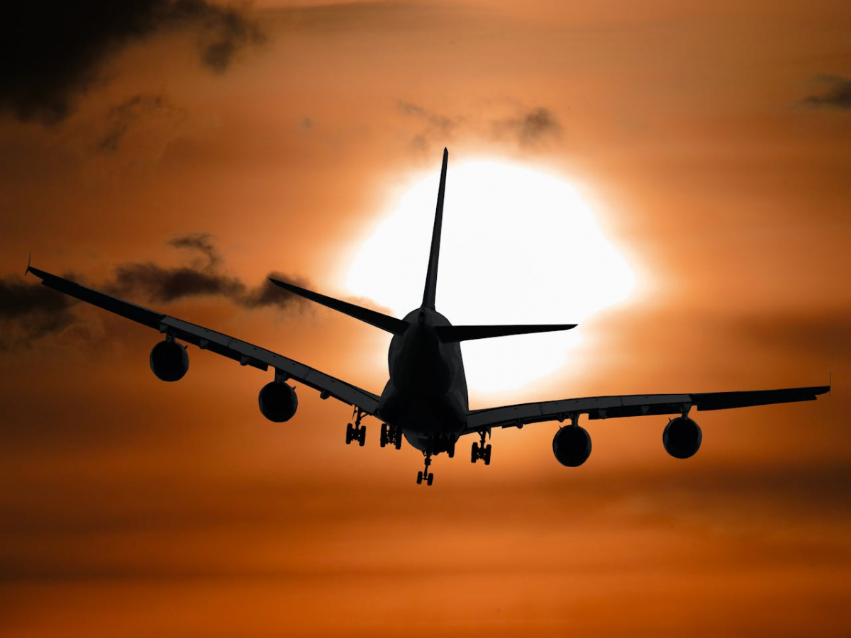Avio kravu pārvadājumi: Ātra un droša loģistikas risinājuma izvēle