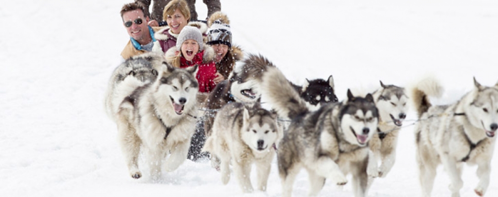 Unikāls piedzīvojums ziemā — brauciens ar suņu pajūgiem