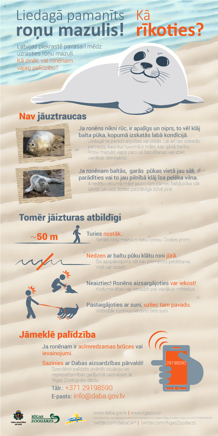 INFOGR ronu mazuli 2016