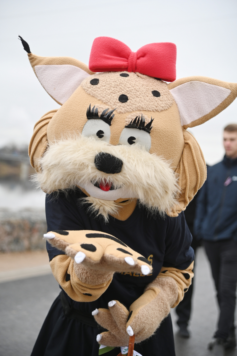 Lāčplēša dienā svinīgi atklāts Jēkabpils aizsargdambis (FOTO)
