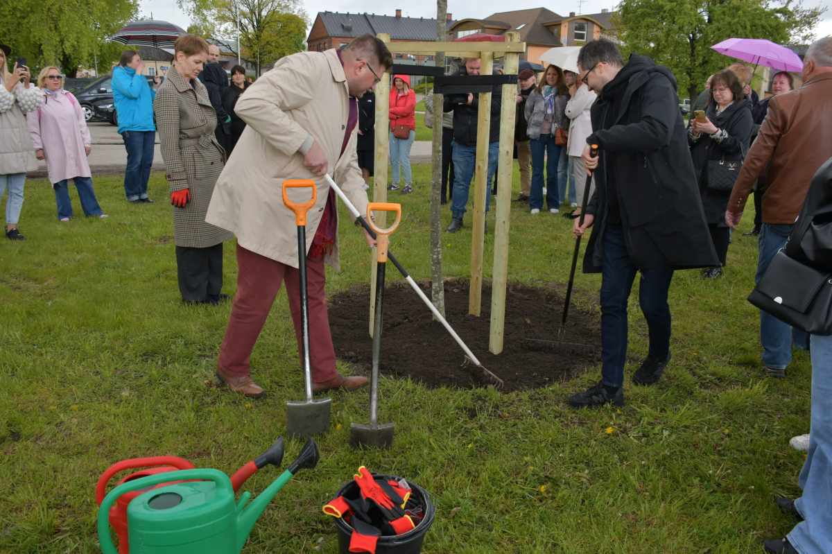Latvijas notāri Jēkabpilī iestāda sarkano ozolu (FOTO)