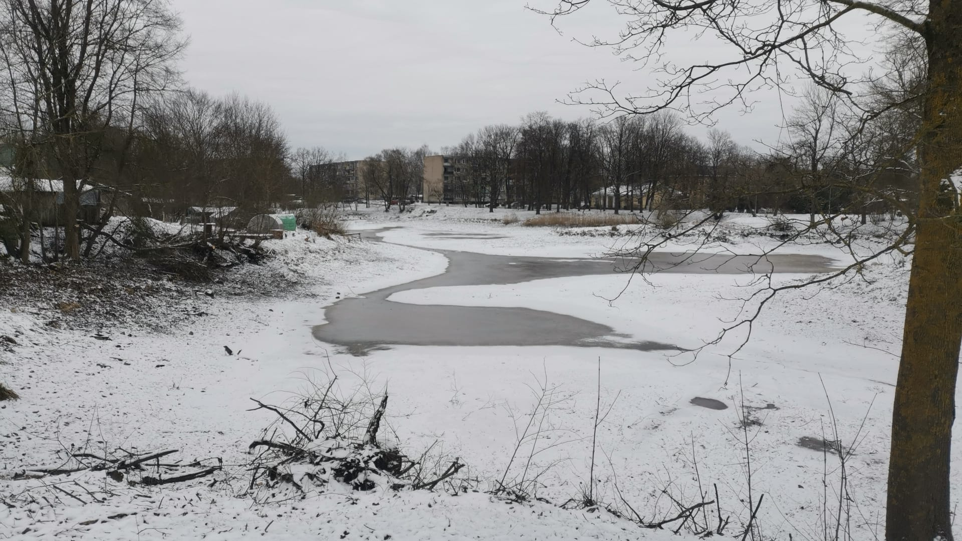 Jēkabpilī Pils dīķim iztīrīs tikai kritiskākās vietas (FOTO)