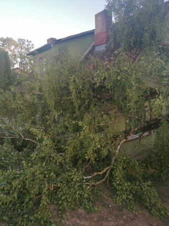Piektdienas vakarā no stiprā vēja brāzmām, Jēkabpilī, Pļaviņu ielā mājai uzkrita lūzis koks (FOTO)