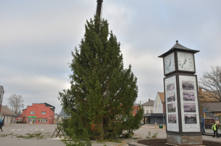 Jēkabpils galvenās Ziemassvētku egles mirdzumam tiks izmantotas 1000 zibspuldzes un citi rotājumi (FOTO)