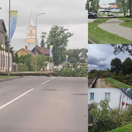 Glābēji saņēmuši 131 izsaukumu saistībā ar vēja radītajiem postījumiem (FOTO)