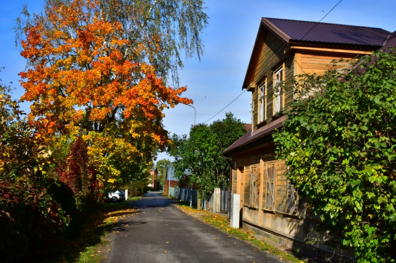 Pasniegta stipendija daudzbērnu ģimenei no Jēkabpils