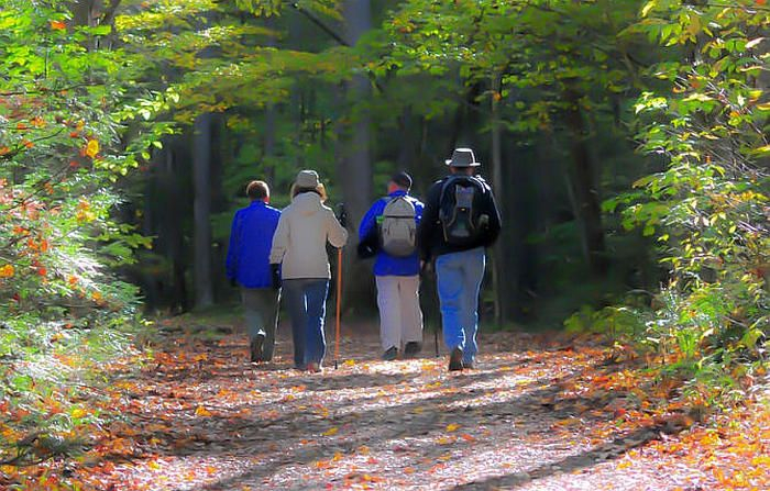 Ģimenes ārste Ilze Aizsilniece: pastaigas mežā stiprina gan ķermeni, gan nervu sistēmu