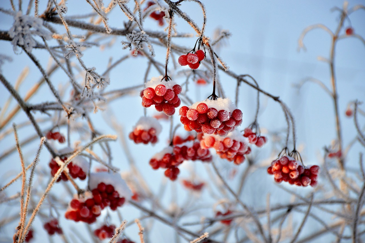 Kāds laiks gaidāms janvārī - Jaungada un Ziemas mēnesī? Laika vērotāja prognoze