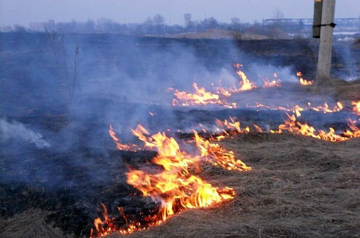 Jēkabpilī dzēsts šogad pirmais kūlas ugunsgrēks