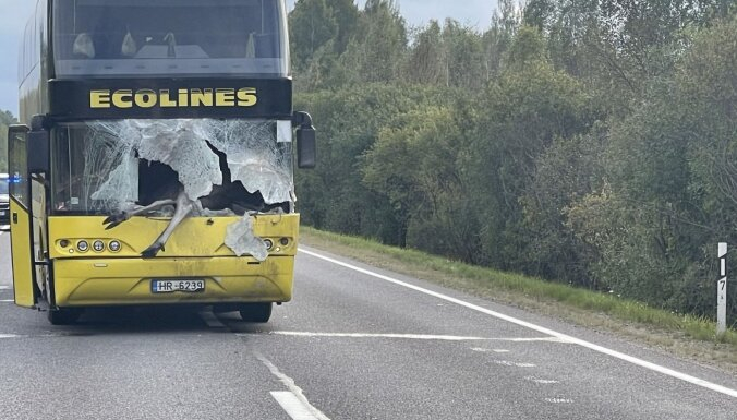 Pēc autobusa sadursmes ar alni tika ierobežota satiksme uz Rēzeknes šosejas pie Kūkām