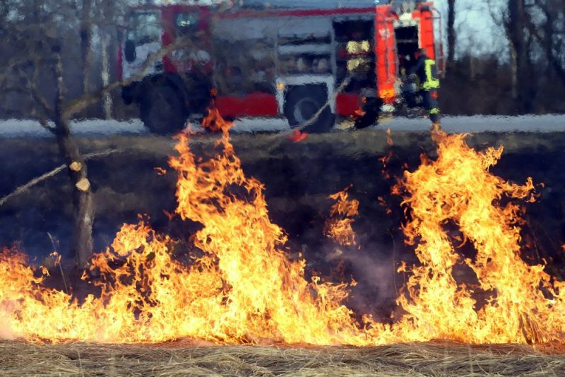 Jēkabpilī brīvdienās dzēsti kārtējie kūlas ugunsgrēki – Dzelzceļmalas, Mālu, Nameja, Artilērijas un Pļaviņu ielās, kā arī pie Radžu ūdenskrātuves