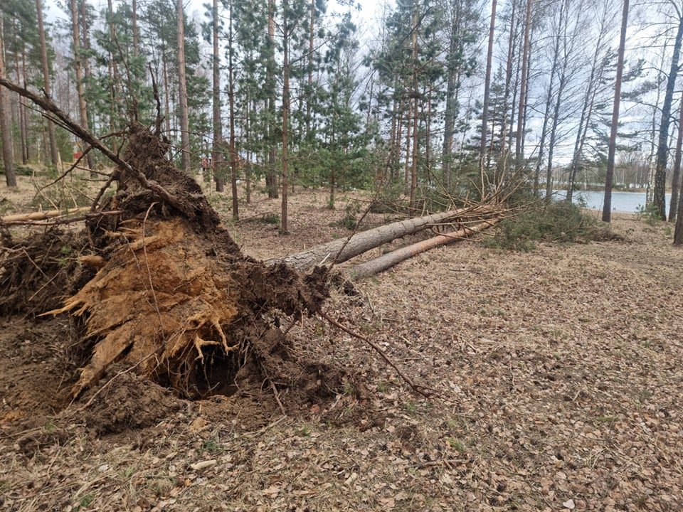 Jēkabpilī stiprajā vējā uz mājas jumta un automašīnas uzkrituši koki, balkonam atrautas konstrukcijas un kokos iepūsta siltumnīca