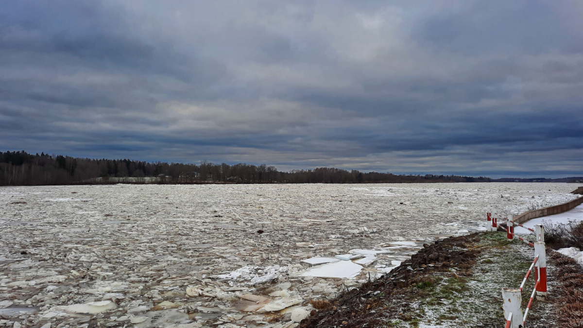 Pļaviņās Daugava ir pilna ar ledu, taču applūšana nedraud, pie Jēkabpils - situācija stabila