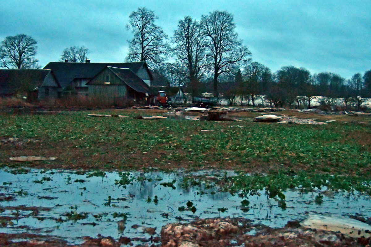 LAD: Jēkabpils apkārtnē plūdu dēļ varētu būt cietuši lauki aptuveni 300 hektāru platībā