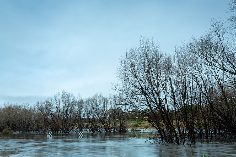 Apdrošināšanas kompānija Jēkabpils plūdos cietušajiem atlīdzībās izmaksās vairāk nekā 200 000 eiro