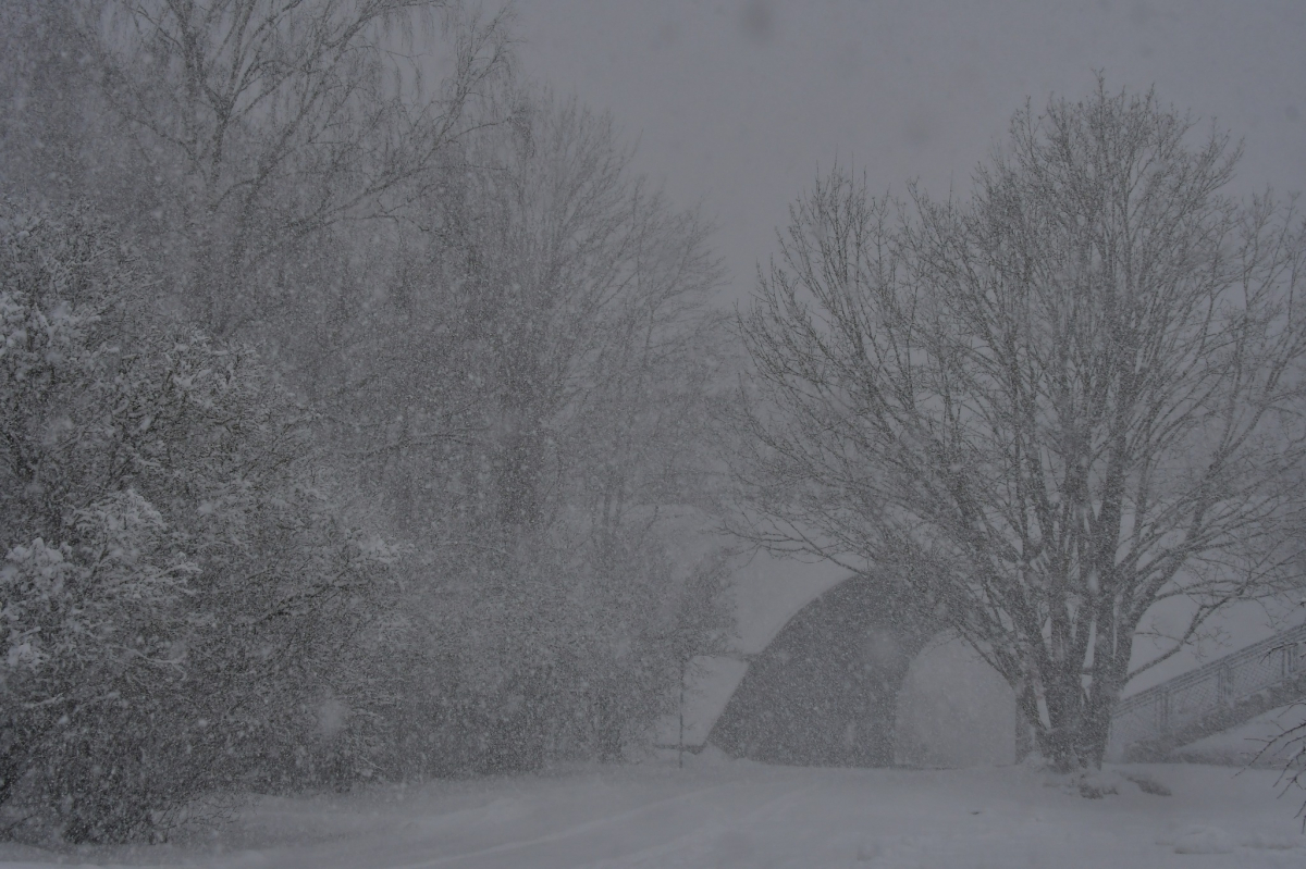 Šonedēļ Latviju šķērsos divi cikloni, nesot spēcīgus vējus un puteņus, snigšana gaidāma katru dienu
