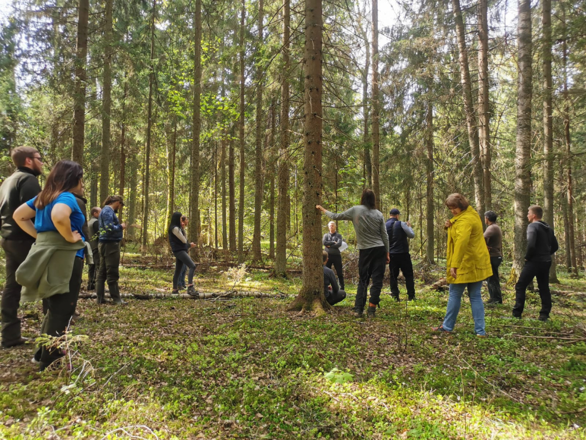 Aicina uz semināru - Bioloģiskajai daudzveidībai nozīmīgi elementi mežā un to apsaimniekošana