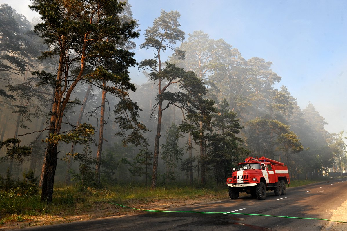 Sestdien, 23. septembrī noslēdzas meža ugunsnedrošais periods 