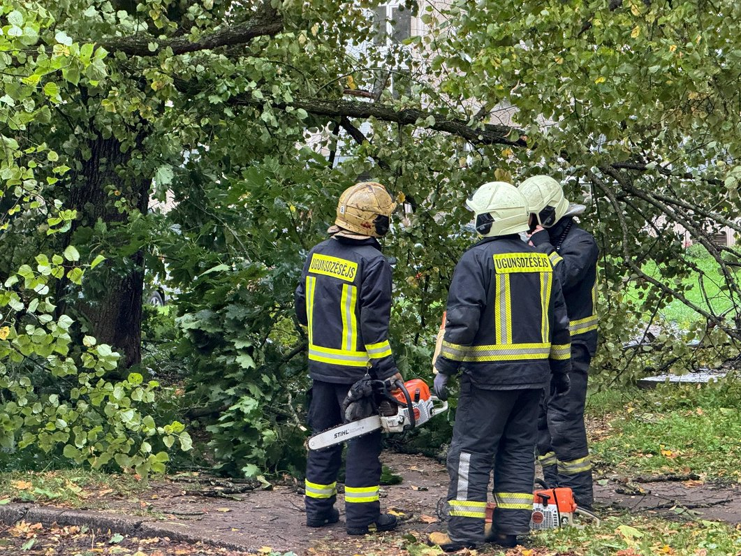 Zemgalē jau vairāk kā 130 izsaukumi uz vēja postījumiem