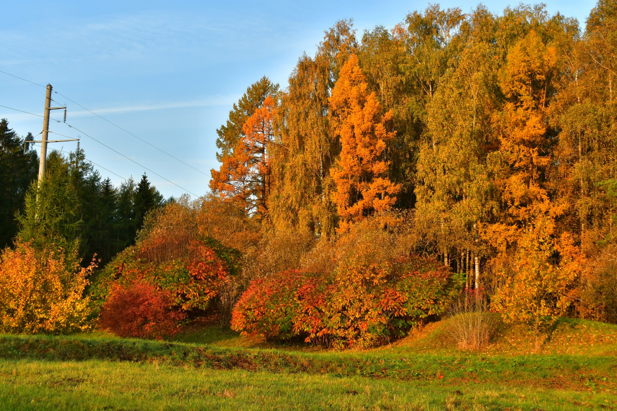 Nedēļas vidū temperatūra tuvosies 20 grādiem