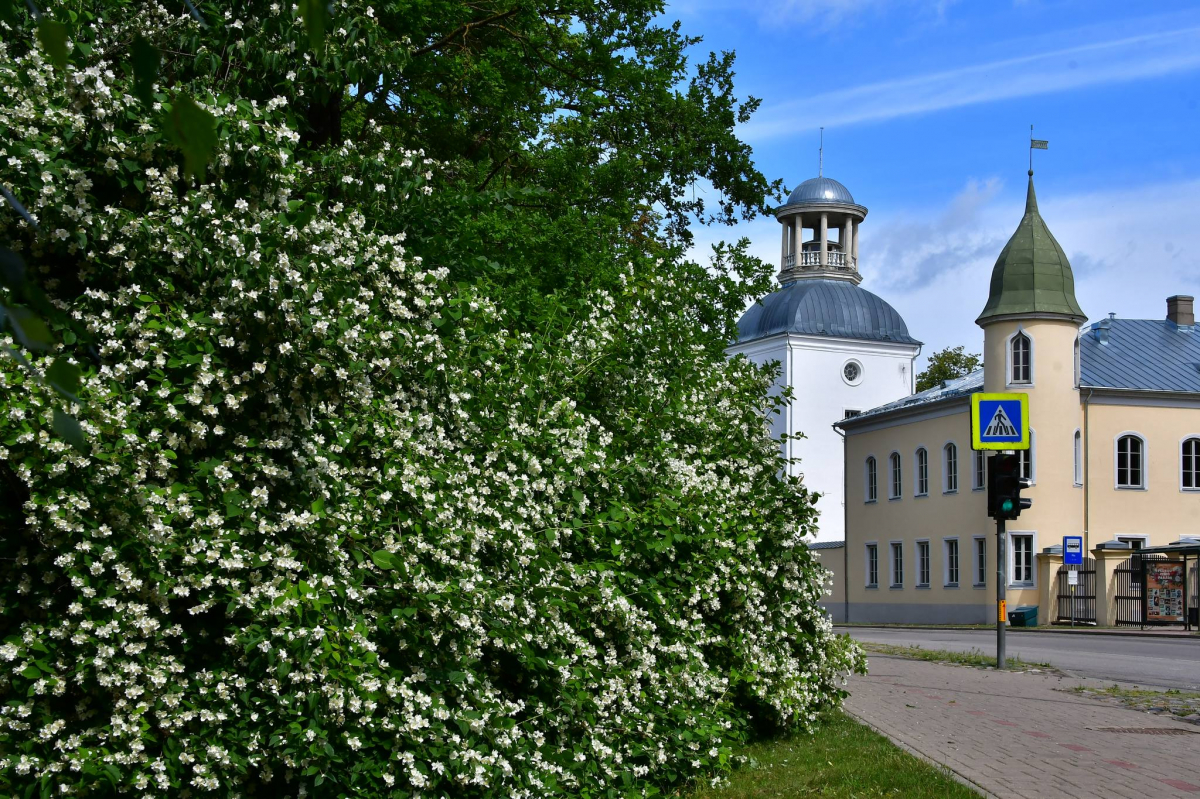 Jēkabpils Radio1 ziņas 2024.gada 10.oktobrī