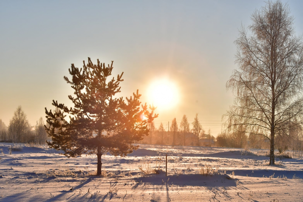 Kāds laiks gaidāms janvārī - Jaungada un Ziemas mēnesī? Dabas vērotāja prognozes