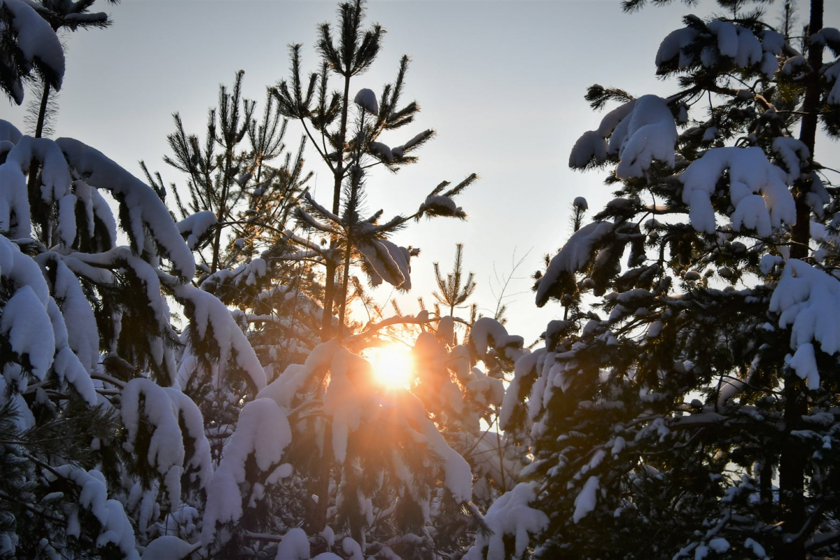 Šonedēļ un nākamnedēļ gaidāms ziemas aukstākais periods