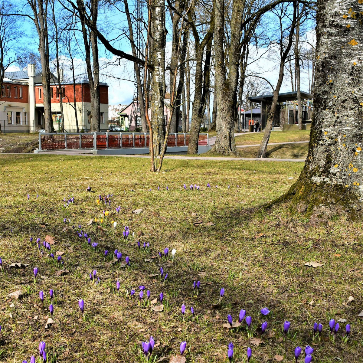 Jēkabpils Radio1 ziņas 2025.gada 28.februārī