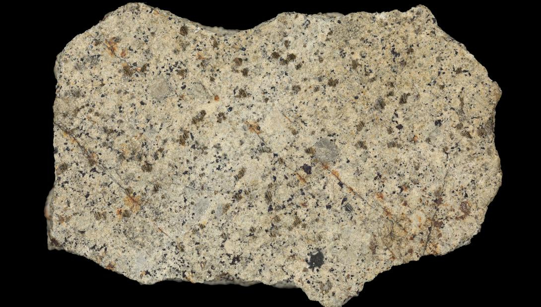 Nacionālais dabas muzejs "Ebay" iegādājies 1863.gadā Jēkabpils novada Biržos nokrituša meteorīta fragmentu