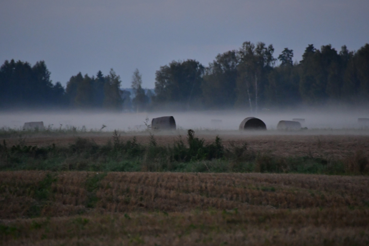 Jēkabpils Radio1 ziņas 2025.gada 29.septembrī