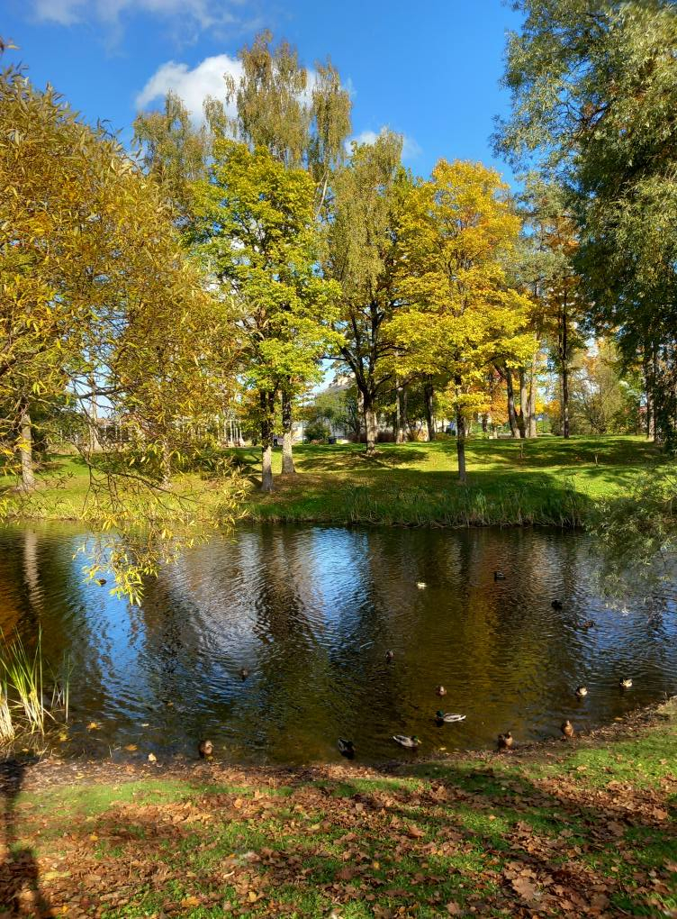 Jēkabpils Radio1 ziņas 2025.gada 13.oktobrī