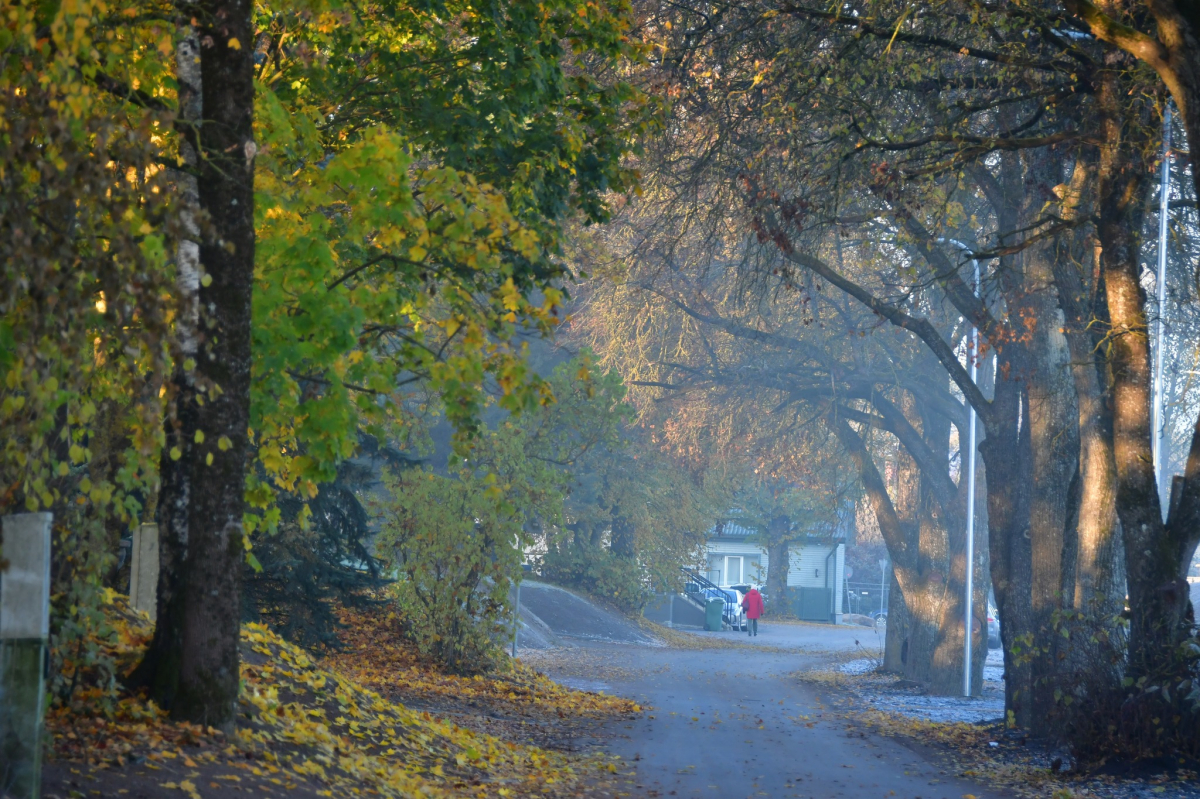 Jēkabpils Radio1 ziņas 2025.gada 23.oktobrī