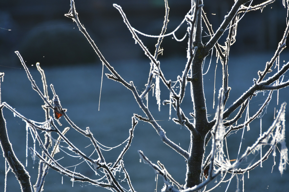 Novembra sākumā Jēkabpilī fiksēta zemākā temperatūra valstī  