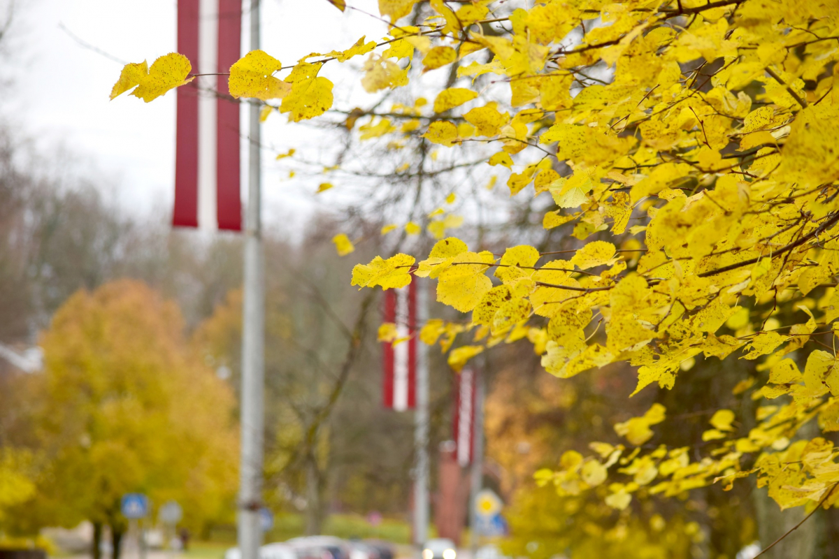 Jēkabpils Radio1 Preiļu novada aktualitātes 2025.gada 12.novembrī