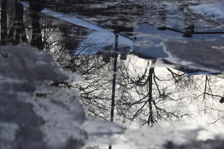 Šonedēļ Latvijā ziema uz laiku atkāpsies un gaiss var iesilt līdz plus 8 grādiem