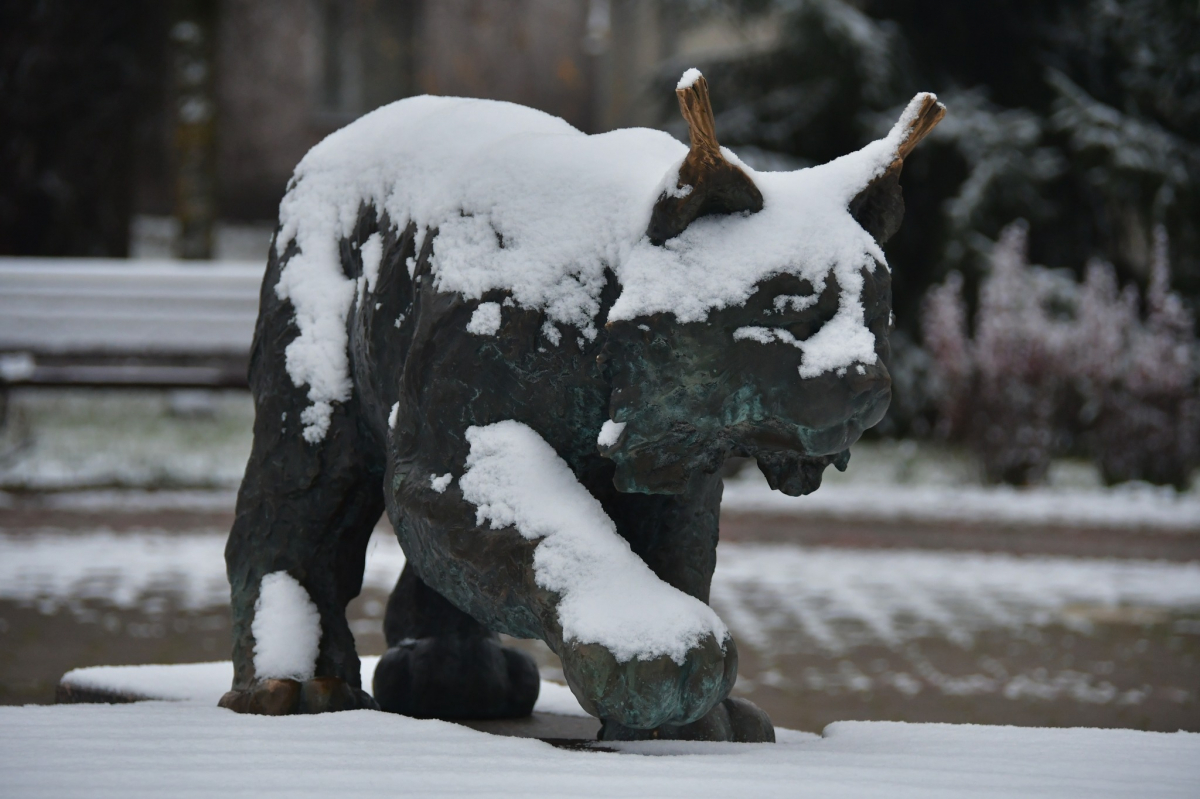 Jēkabpils Radio1 ziņas 2025.gada 12.decembrī