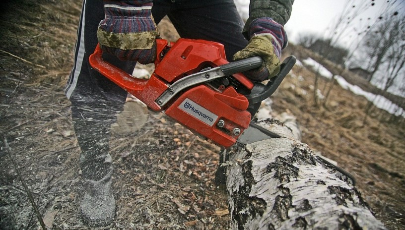 Uļļu ielā Pļaviņās plānots izcirst ap 230 koku un izveidot stāvlaukumu