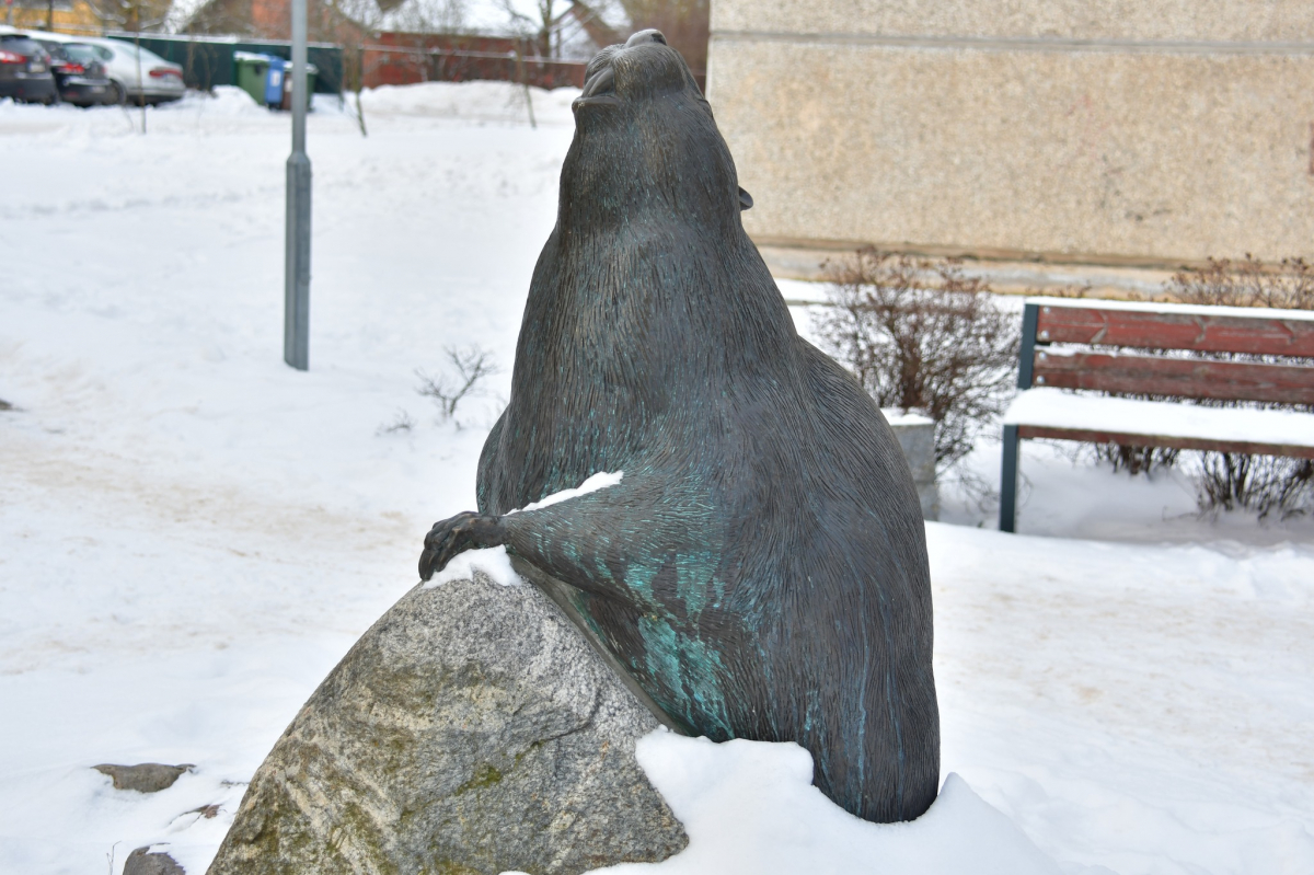 Jēkabpils Radio1 ziņas 2026.gada 17.janvārī