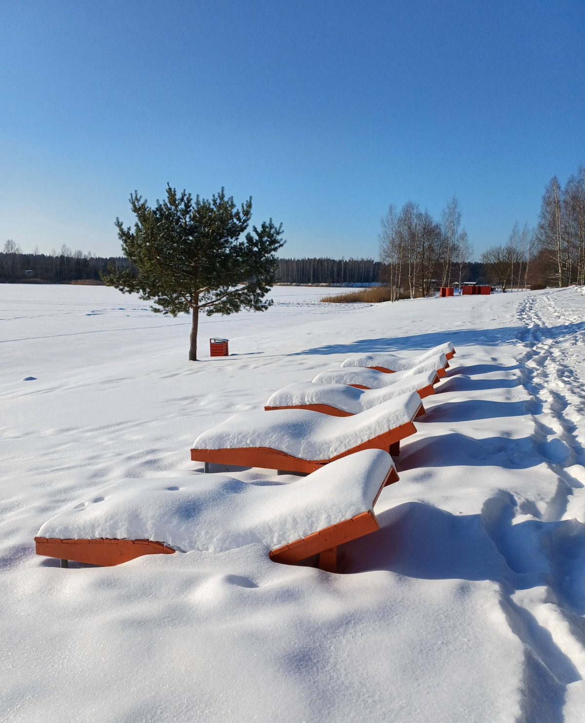 Kāds laiks gaidāms februārī - Sveču, Puteņu un Ziemeļvēja mēnesī? Dabas vērotāja piezīmes