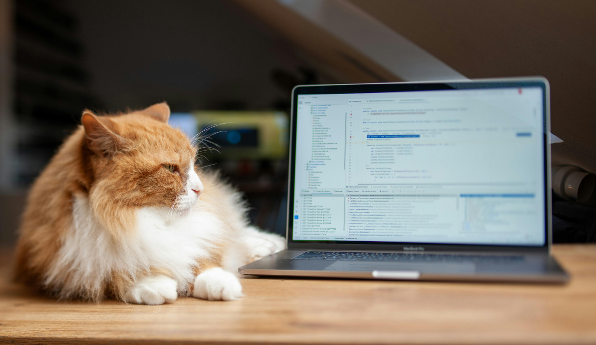 Jēkabpils pilsētas un novada pedagogus aicina pieteikties bezmaksas programmai “Cilvēcīgi par tehnoloģijām”