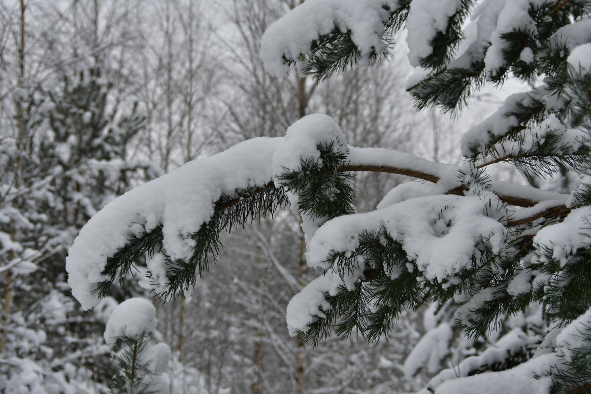Jēkabpils Radio1 Preiļu novada aktualitātes 2026.gada 11.februārī