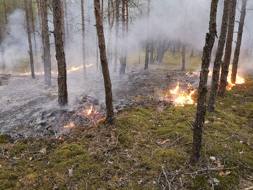 Jēkabpils novadā dzēsti trīs kūlas ugunsgrēki un meža zemsedze