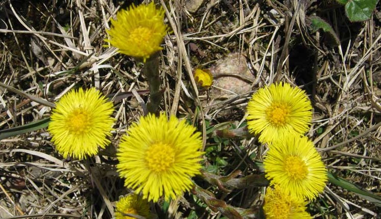 No šodienas diena kļūst garāka par nakti