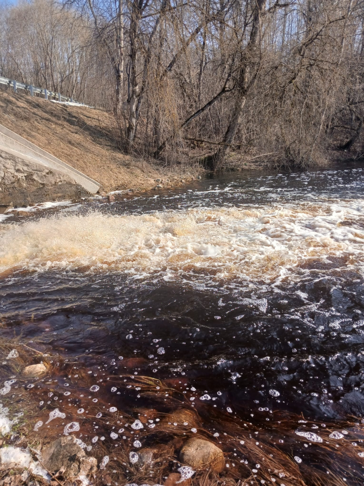 Nedēļas sākumā gaidāmi nokrišņi, bet otrajā pusē - saule