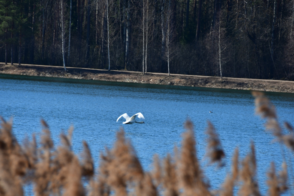 Jēkabpils Radio1 ziņas 2026.gada 7.aprīlī