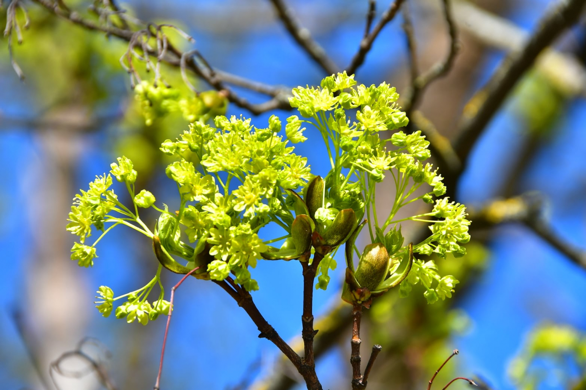 Nākamnedēļ laiks kļūs siltāks