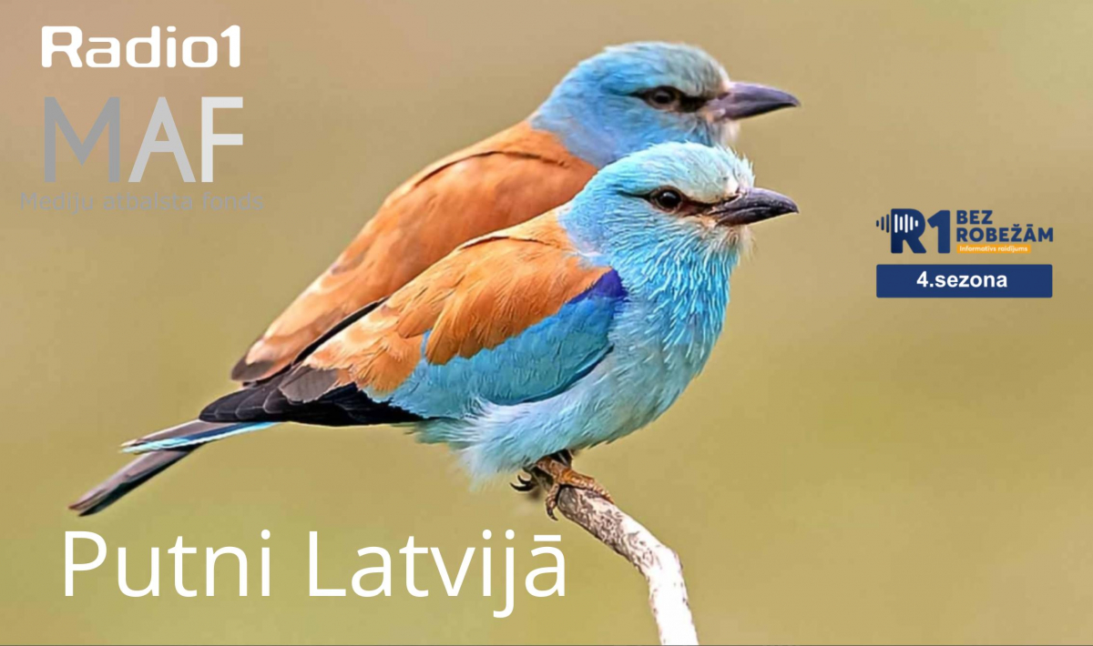 ,,Bez robežām’’ S4E14 Putni Latvijā