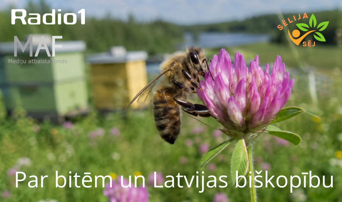 ,,Sēlija sēj’’ S1E16 Par bitēm un Latvijas biškopību